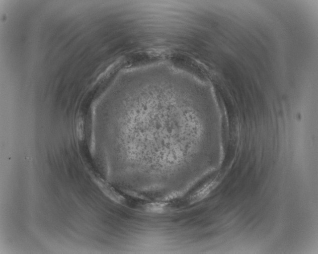 X0000081470090200701262014