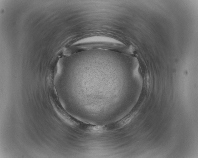 X0000081470092200701262014