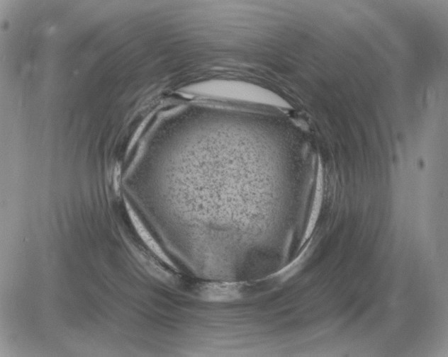 X0000081470094200701262014