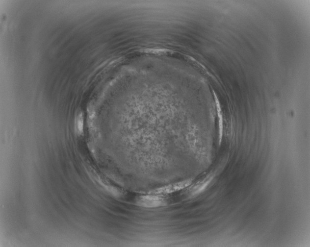 X0000081470095200701262014