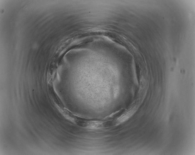 X0000081470096200701262014