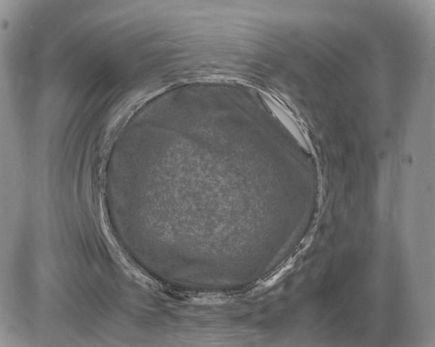 X0000081470097200701262013