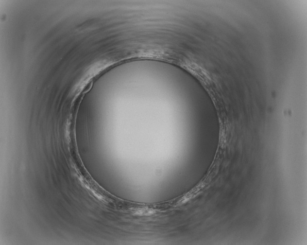 X0000081470098200701262013