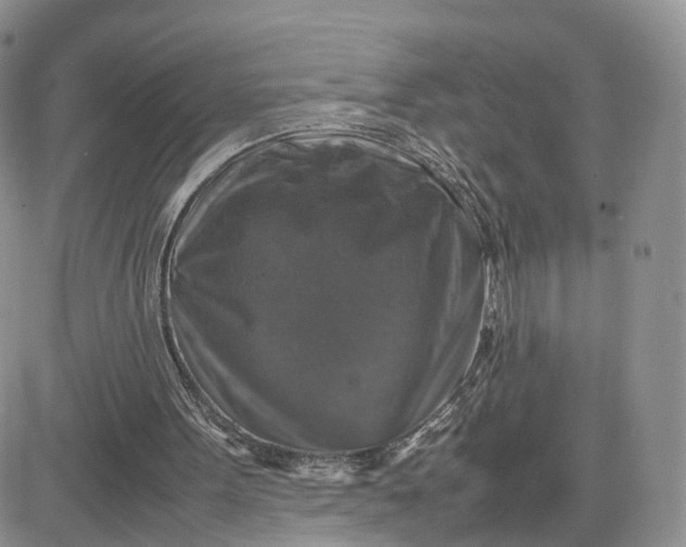 X0000081470099200701262013