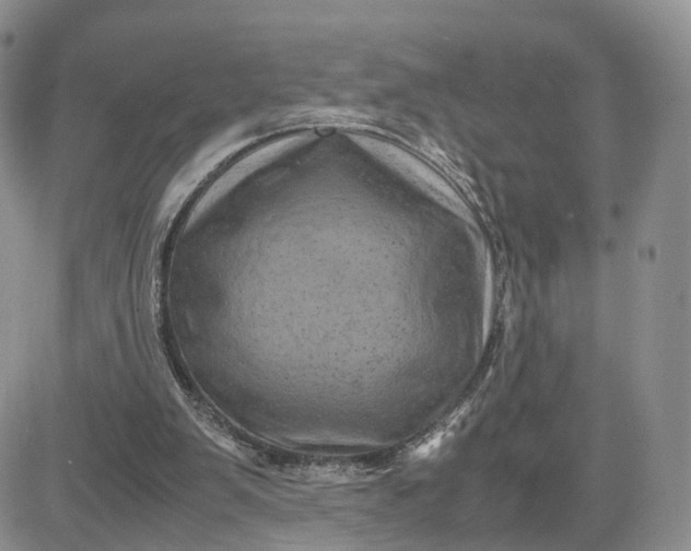 X0000081470103200701262013