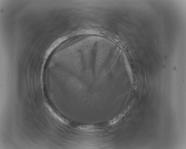 X0000081470104200701262013