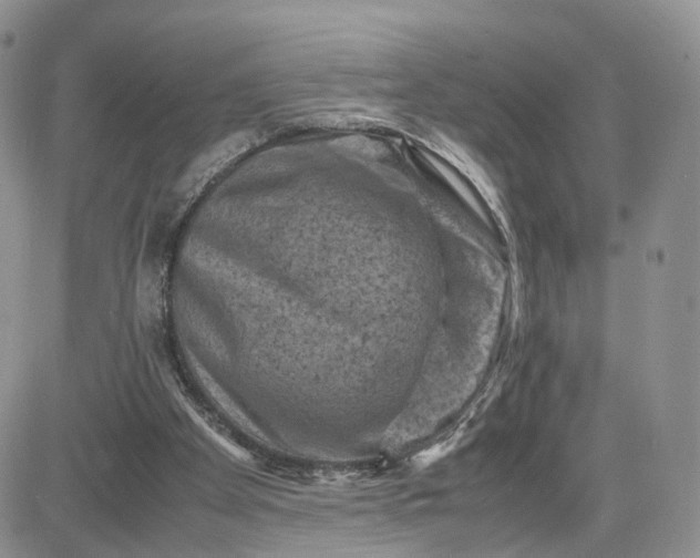 X0000081470105200701262013