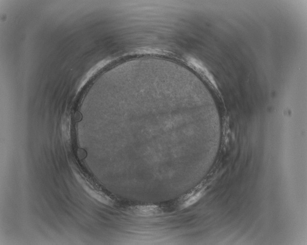 X0000081470108200701262013