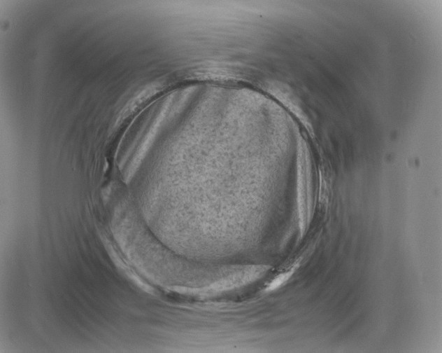 X0000081470109200701262013