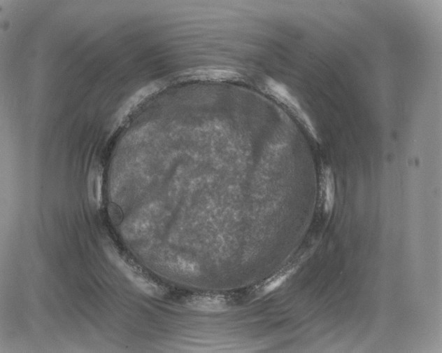 X0000081470110200701262013