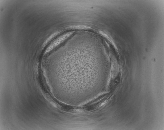 X0000081470111200701262013