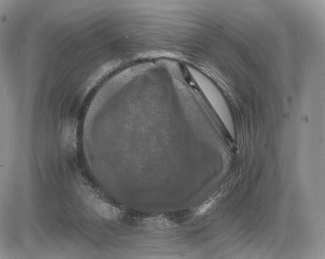 X0000081470112200701262013