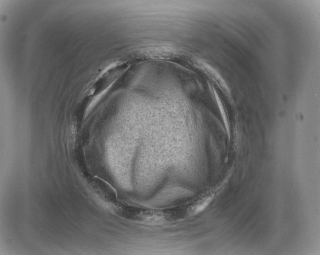 X0000081470113200701262013