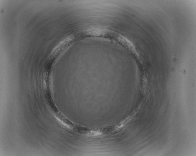 X0000081470114200701262013