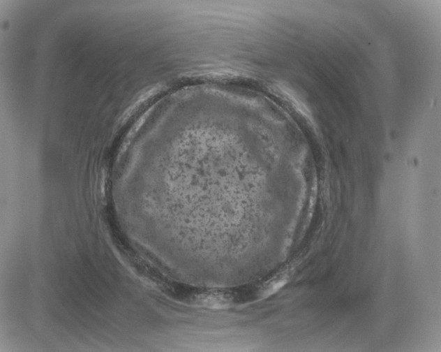 X0000081470115200701262013