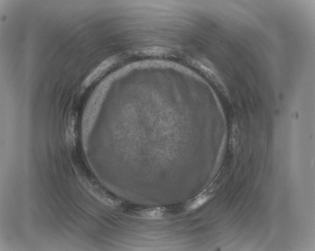 X0000081470116200701262013