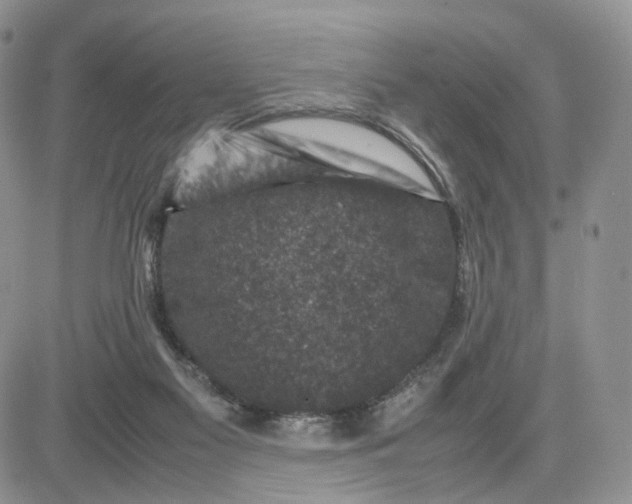 X0000081470117200701262013