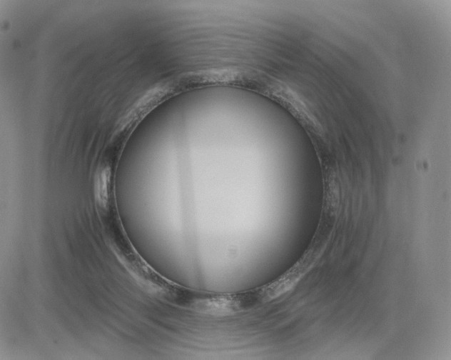 X0000081470118200701262013