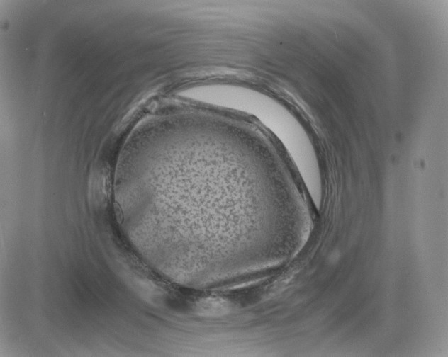 X0000081470119200701262013