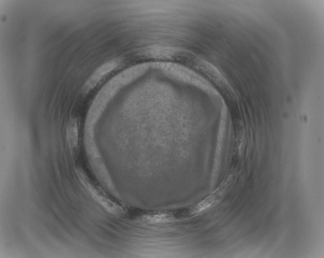 X0000081470120200701262013