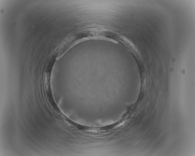 X0000081470121200701262013