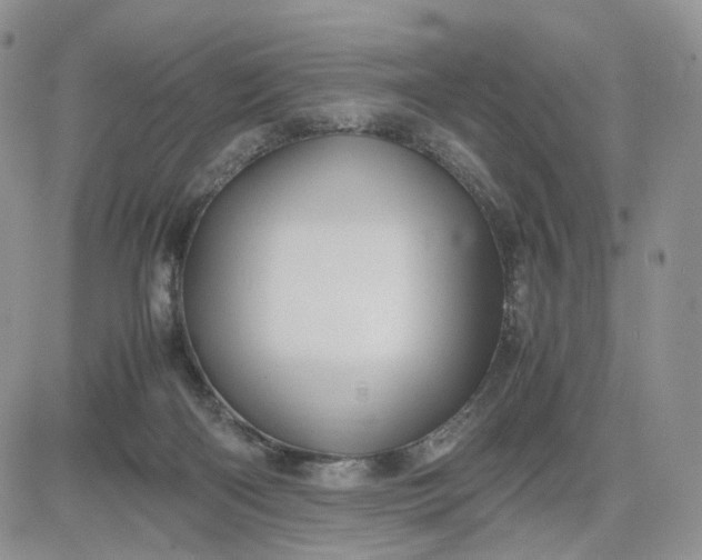 X0000081470122200701262013