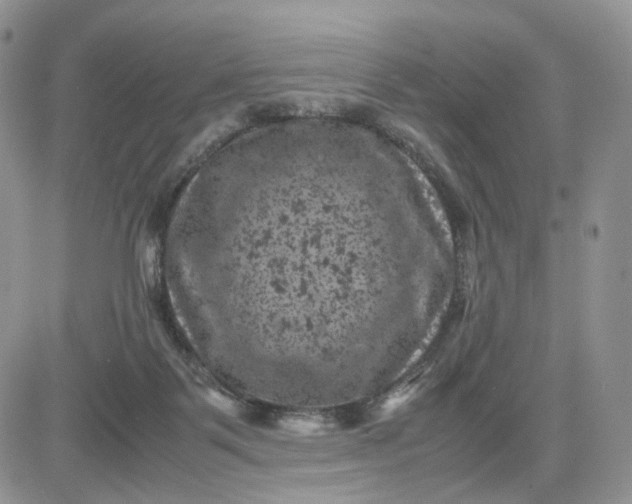 X0000081470123200701262013