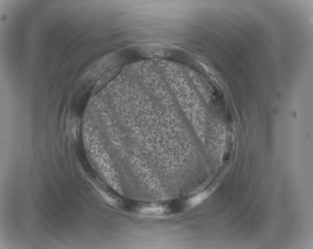 X0000081470125200701262012