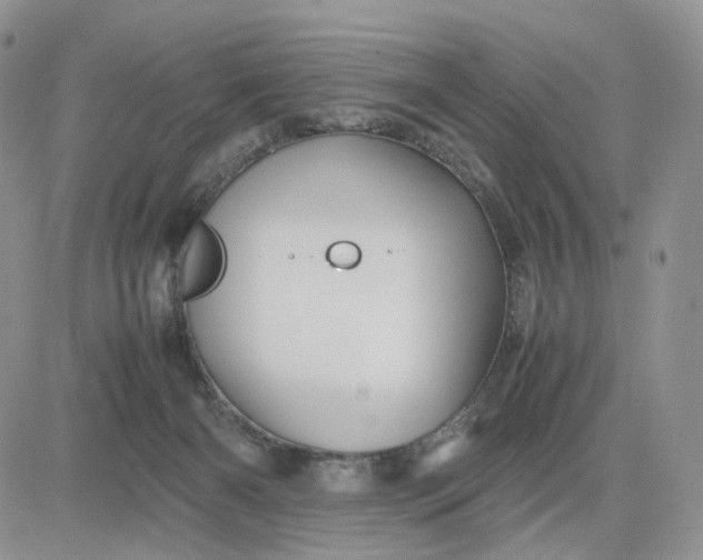 X0000081470126200701262012