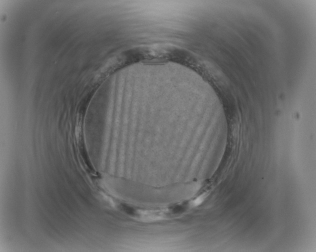 X0000081470129200701262012