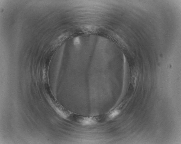 X0000081470130200701262012