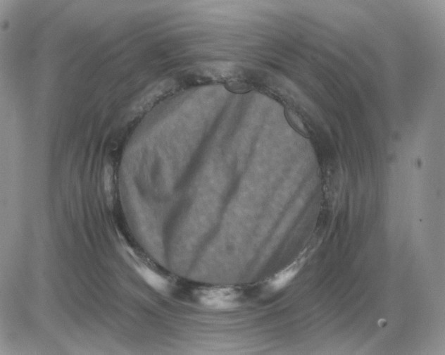 X0000081470132200701262012