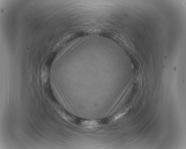 X0000081470133200701262012