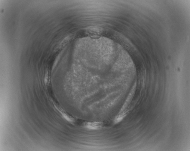 X0000081470134200701262012