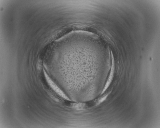 X0000081470135200701262012