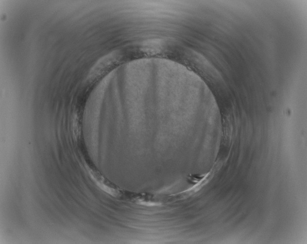 X0000081470136200701262012