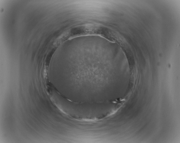 X0000081470137200701262012