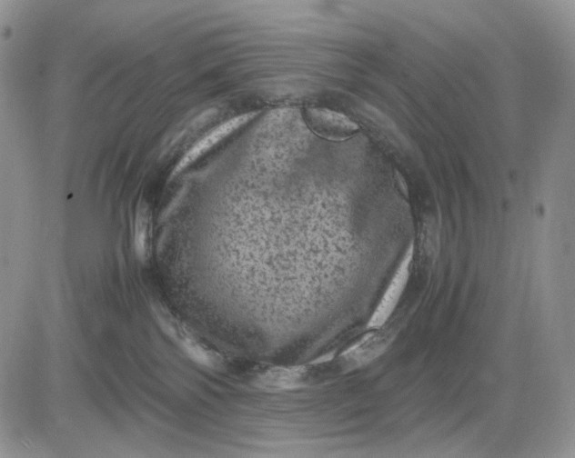 X0000081470138200701262012