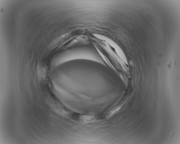 X0000081470139200701262012