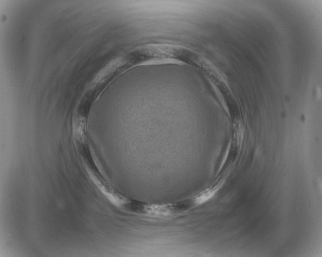 X0000081470141200701262012