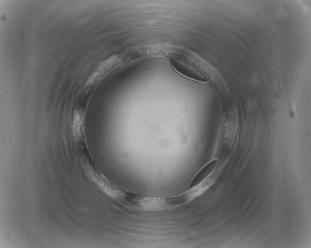 X0000081470142200701262012