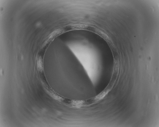 X0000081470143200701262012