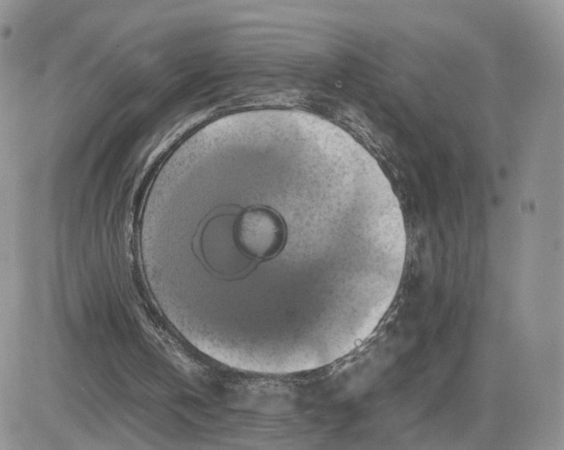 X0000081470146200701262011