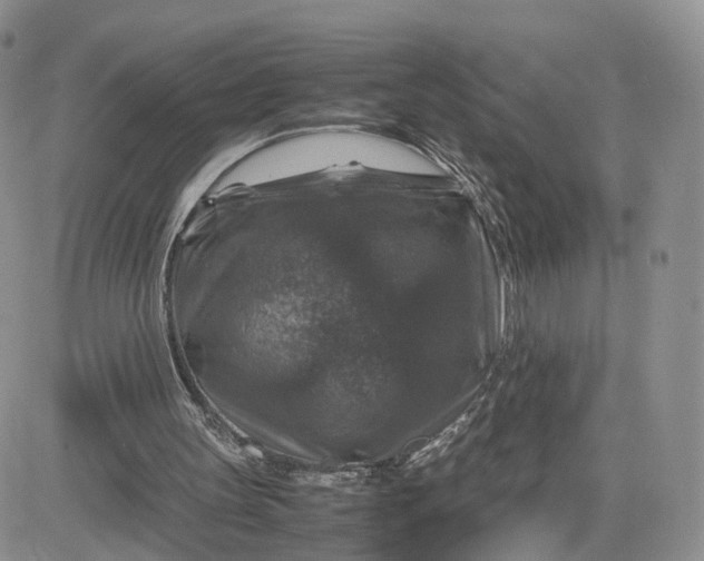 X0000081470147200701262011