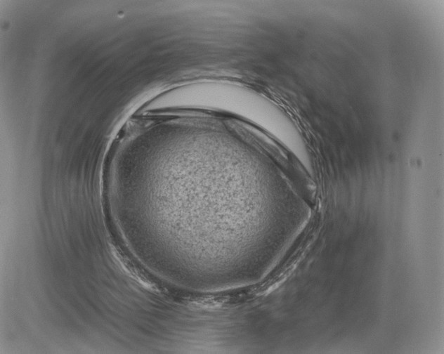 X0000081470148200701262011