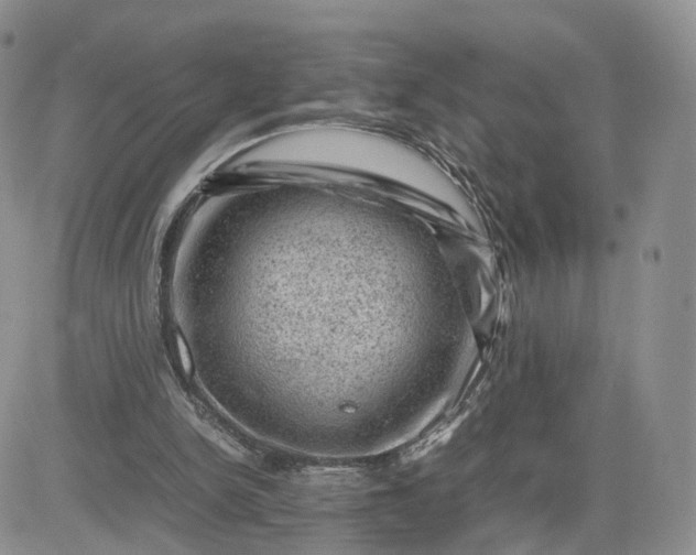 X0000081470150200701262011