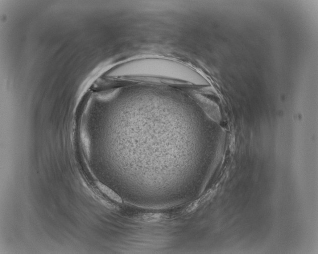 X0000081470152200701262012