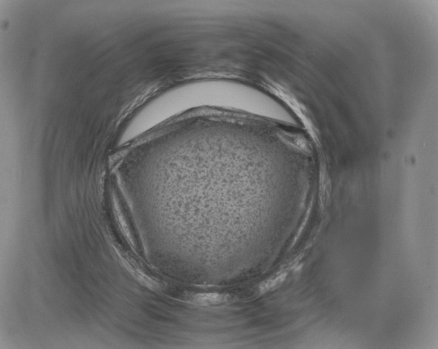 X0000081470153200701262012