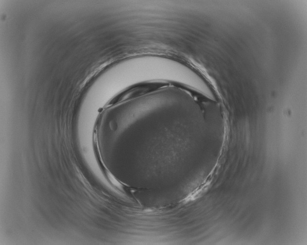 X0000081470154200701262012