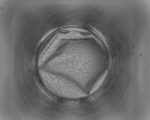 X0000081470155200701262012